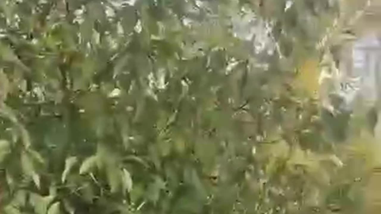 Moscow region 👀👀👀