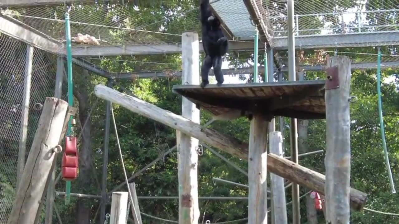 MELBOURN ZOO