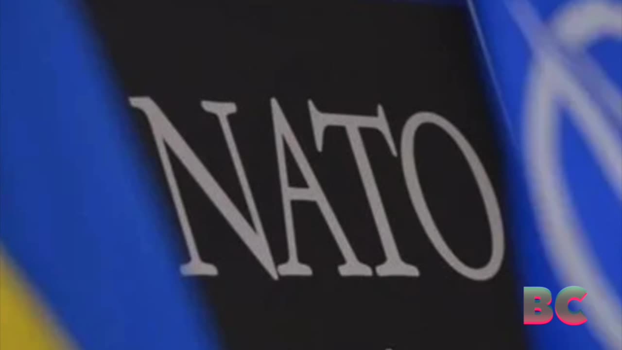 NATO Will Offer Ukraine ‘Bridge’ to Membership