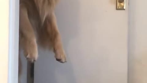 Do you like my dancing