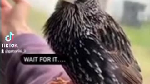 News Break: Slow motion recording