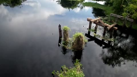 As belezas do PANTANAL.