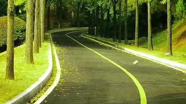 Nature Video • Meditation Music • Relaxing Music • Nature Videos