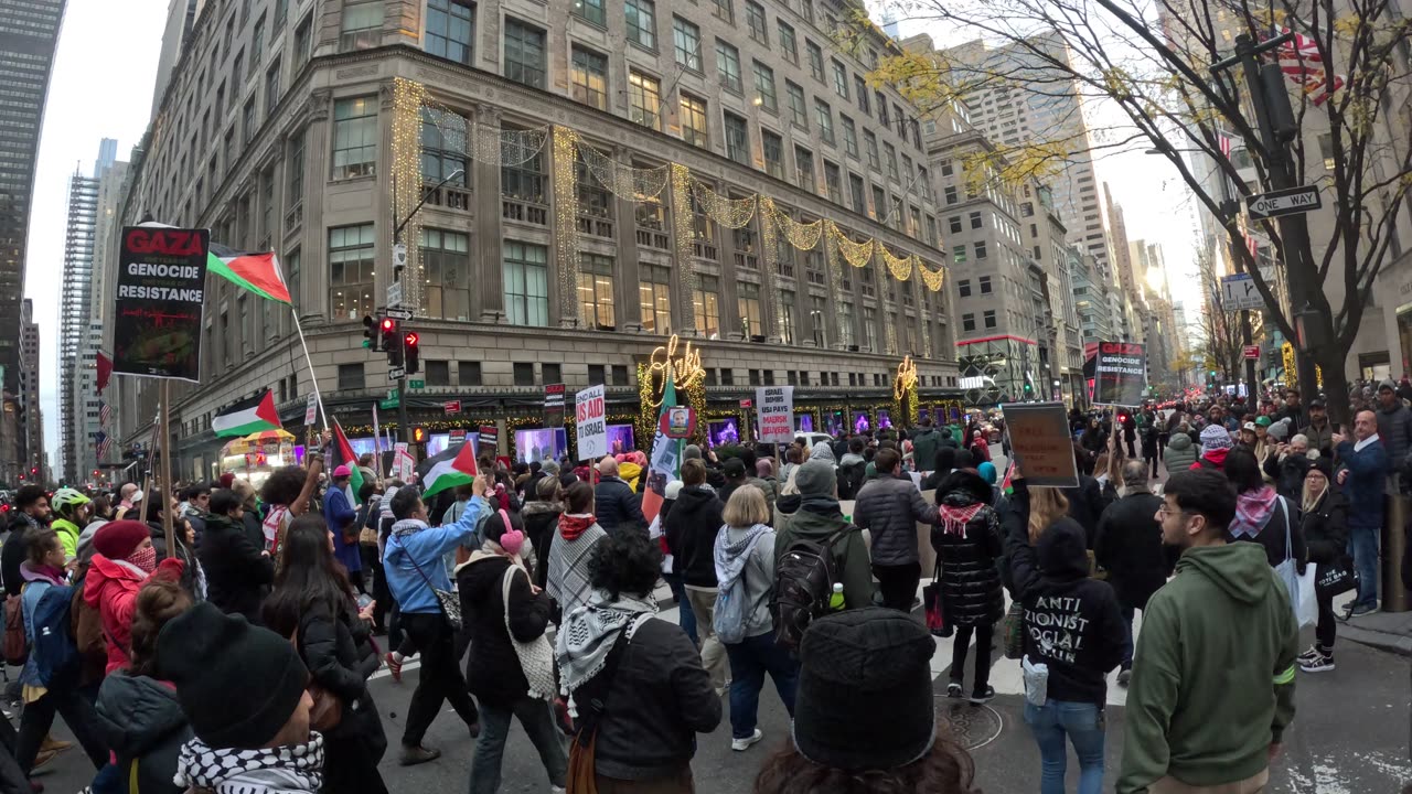 "INTERNATIONAL DAY OF SOLIDARITY WITH THE PALESTINIAN PEOPLE." New Yorkers march in New York City.