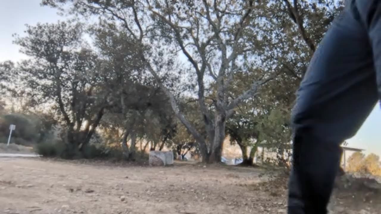 2023-02-18 (2) - préhistoire - Twitch Triskelina