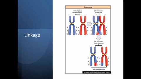 Momento Malum Today Episode 56 Linkage and QTLs in Plant Breeding.