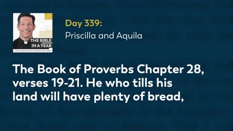 Day 339: Priscilla and Aquila — The Bible in a Year (with Fr. Mike Schmitz)