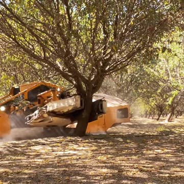 Tree Machine