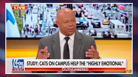 Fox Hosts Get Irrationally Triggered by Stressed College Students: “They Need a Slap in the Face”