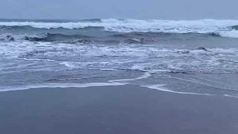 Suasana pantai di pagi hari