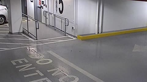 6080RHOBG3G305ANorthLobbyEntry_2021-01-06_13h20min03s230ms.mp4