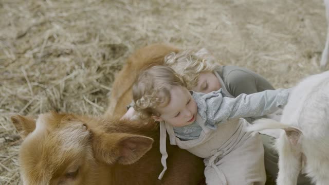 Little kids hugging cattle