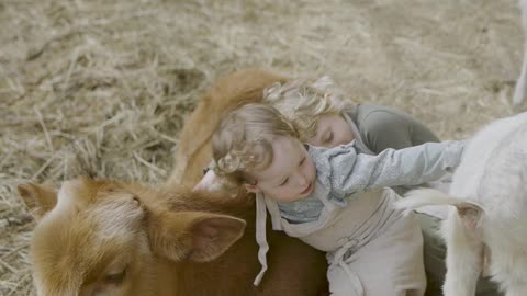 Little kids hugging cattle