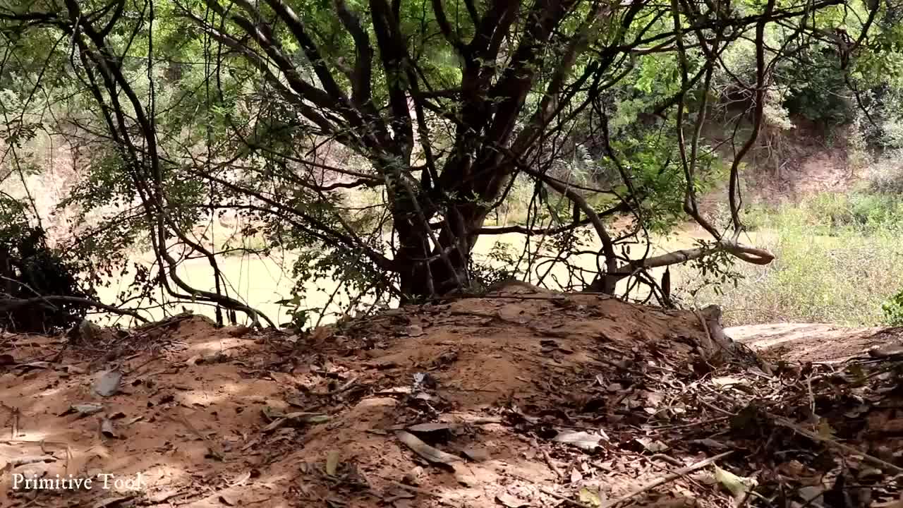 Primitive Technology - Build bamboo house on water