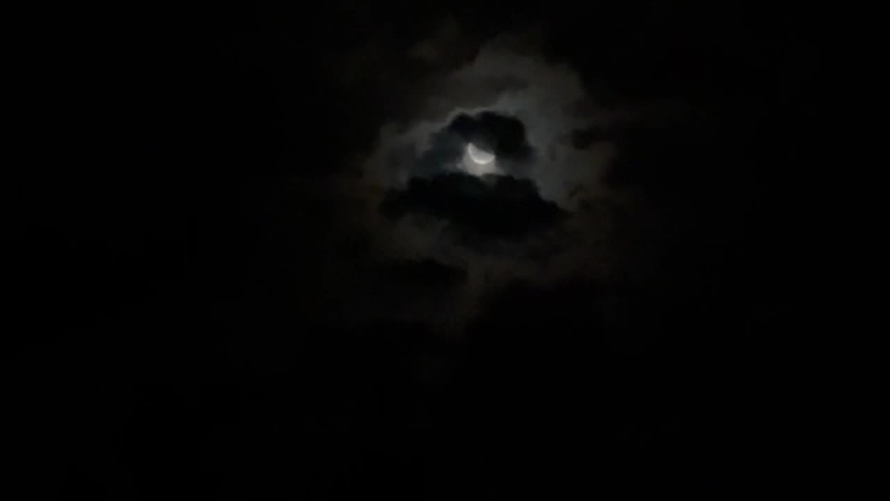 Moon light 🌙 #shorts