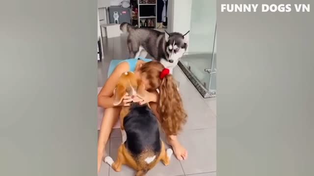 funny animal video 2022 , funniest video dogs and cats