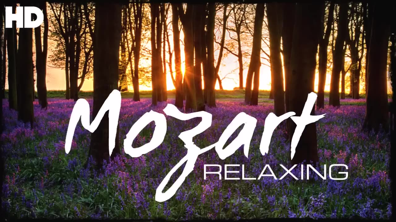 Mozart Relaxation Meditation Reading Focus