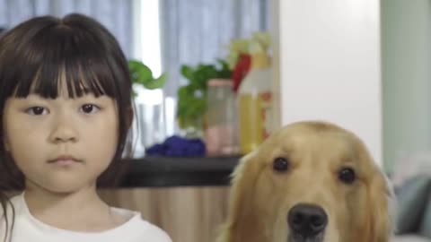 Dog short film