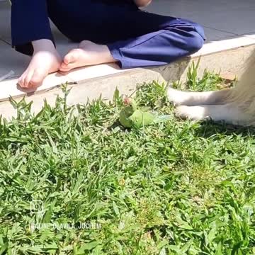 The friend's forever 💞