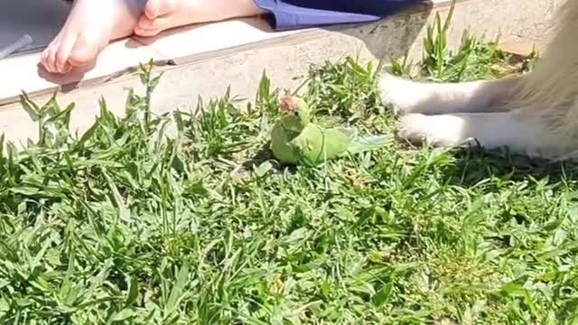 The friend's forever 💞