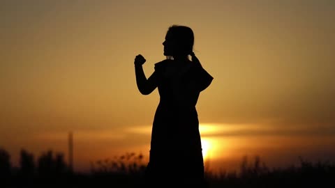 Female Silhouette Shadow Boxing