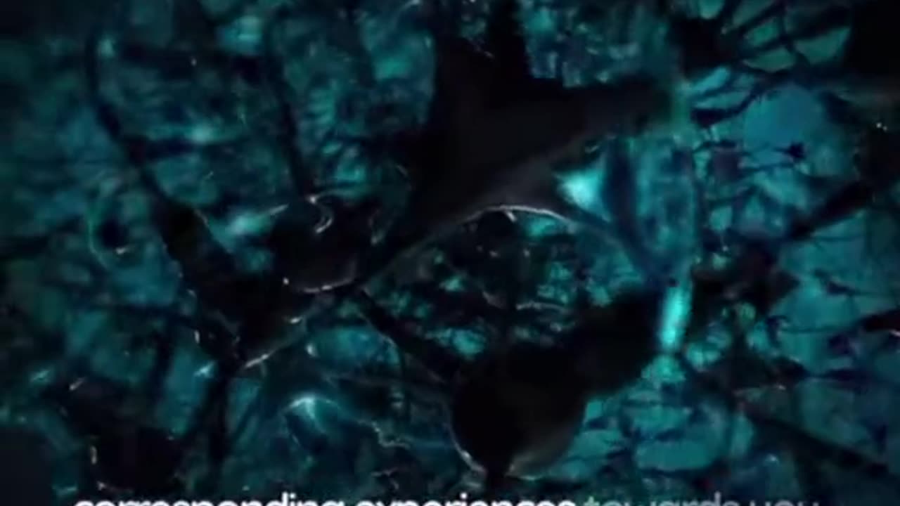 How to match your vibration to what you want👊