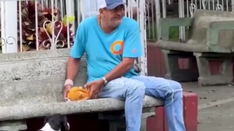 Prank video