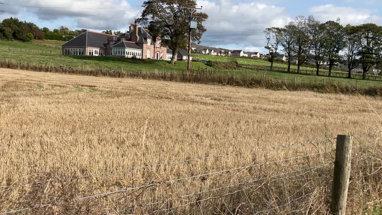 Oct 2023 TikTok moving to ad free subscription