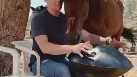 Even animals enjoy music