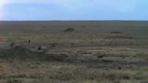 Amazing Cheetah Chase Compilation-7