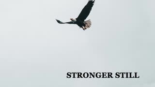 Pray USA, 12/9/22 Stronger Still