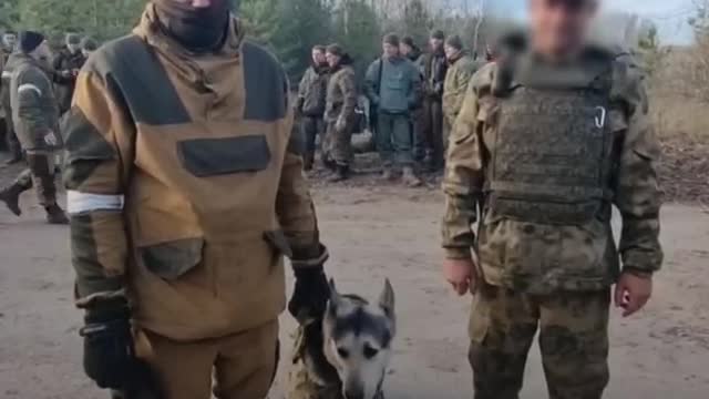 Russian Tula soldier with his dog send greetings from the front line