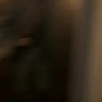 Nathan Bedford Forrest and the Johnsonville Battlefield 1864 Nov 4