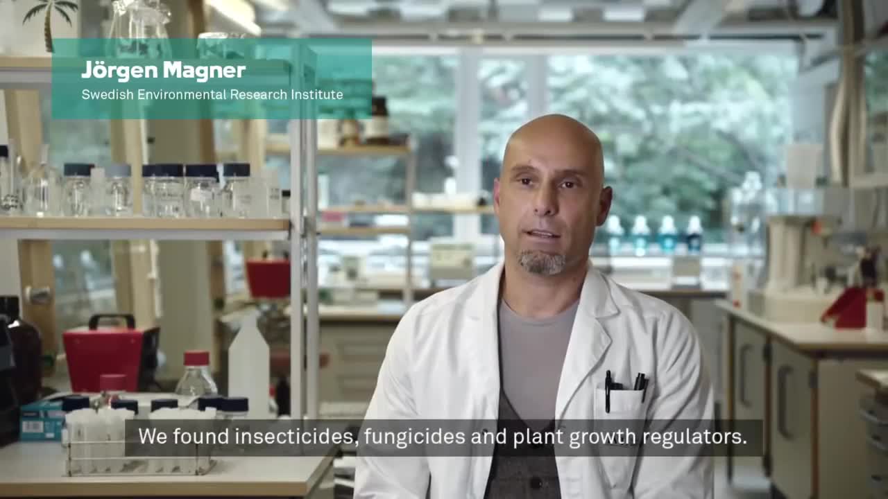 Family tests pesticide levels when eating non-organic vs organic. Huge difference!