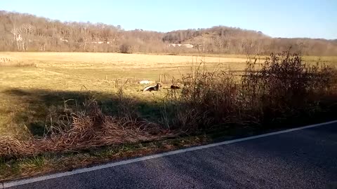 Hopefully not the last good day weather wise this year | The Rural Outdoors