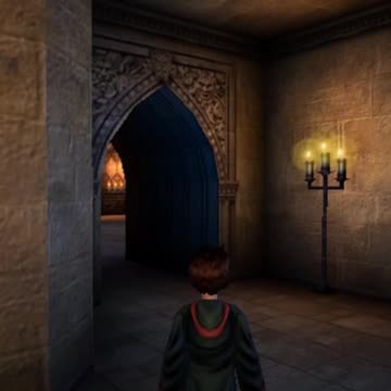 I Superjumped Harry In The Sorcerer's Stone Video Game! #videogames #gaming #pcgamer #harrypotter