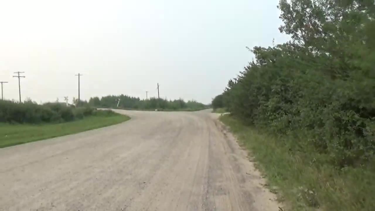 Experimental Nature Video: Part 2