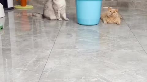So funny 2 😂