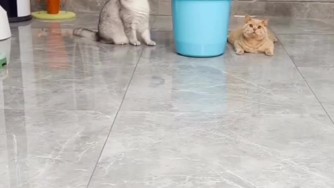So funny 2 😂