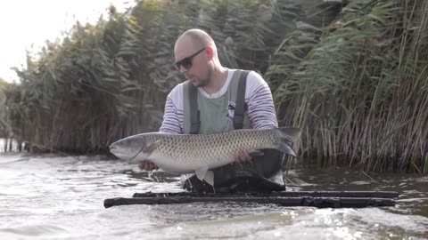 Axoloti Video