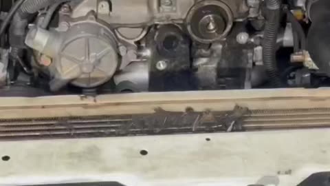 Mitsubishi Triton Oil Leak