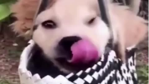 Best way to relax!!!