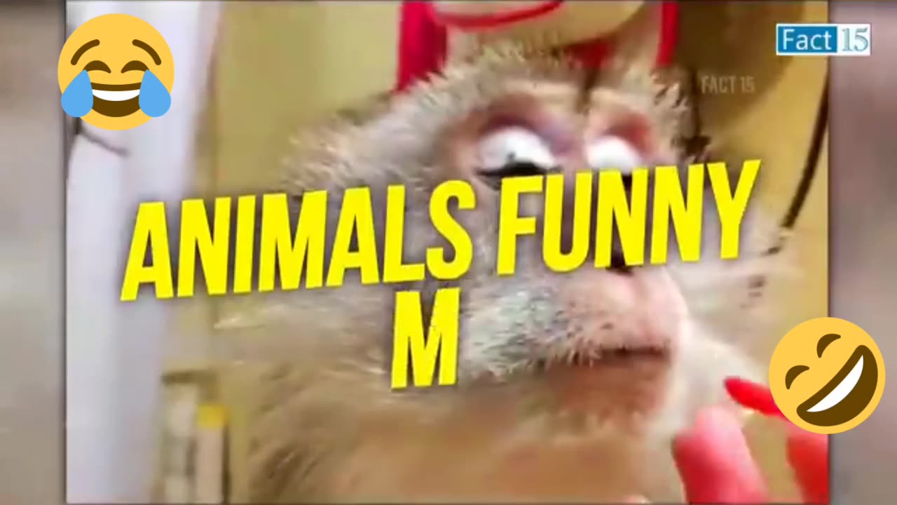 #funny video😆😆