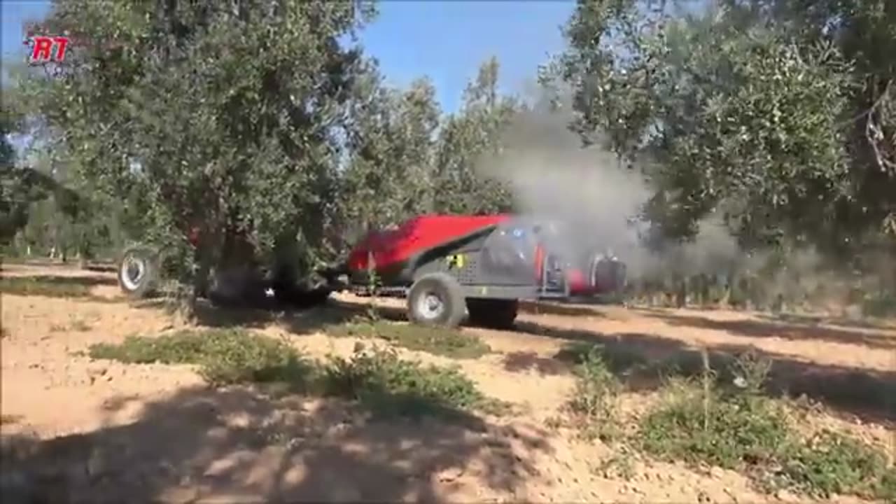MODERN OLIVE AGRICULTURE | OLIVE HARVEST FARMING