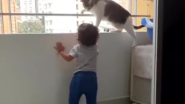 My cat try to protect my son