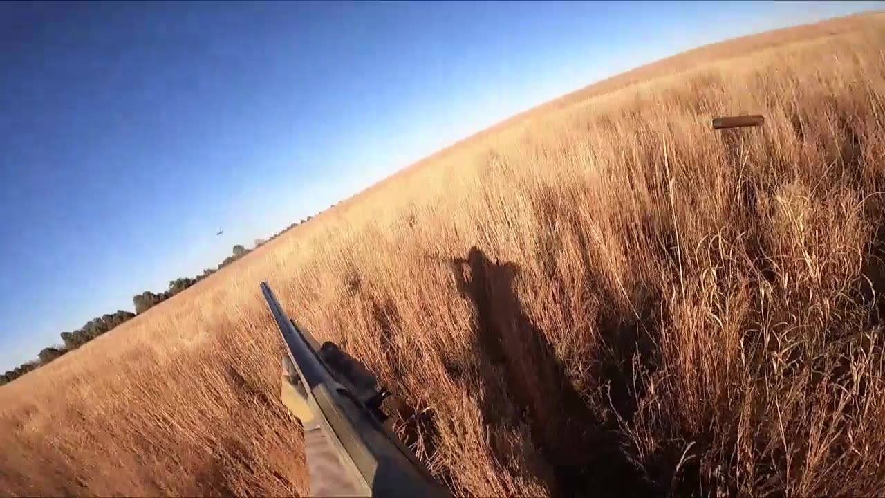 Opening Day Colorado Upland Season November 11, 2023