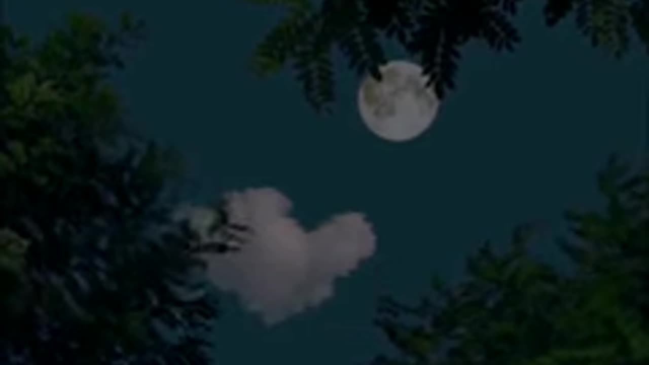 Meri Rah Tujhse #new_song #status #lyrics #video #short