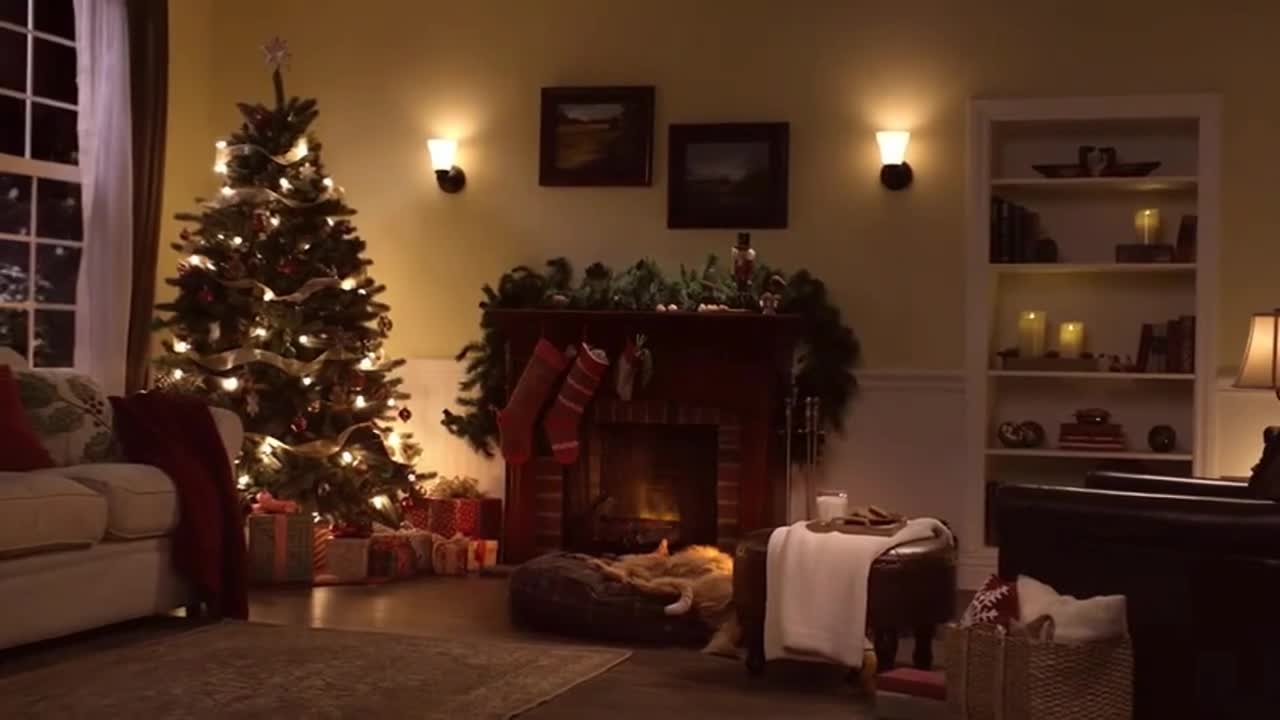 Christmas with Cat and Dog | The Binge | Christmas Ad 2022