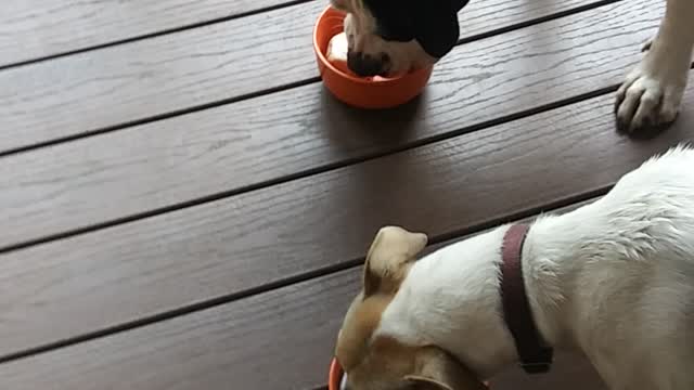 An Ice. Cream Treat For The Lads