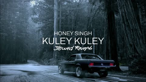 Kuley Kuley / honey singh 3.O